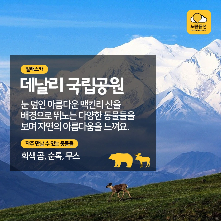 PlayD_%EB%85%B8%EB%9E%91%ED%92%8D%EC%84%A0_SNS%EC%BD%98%ED%85%90%EC%B8%A01012_3.jpg?type=w966