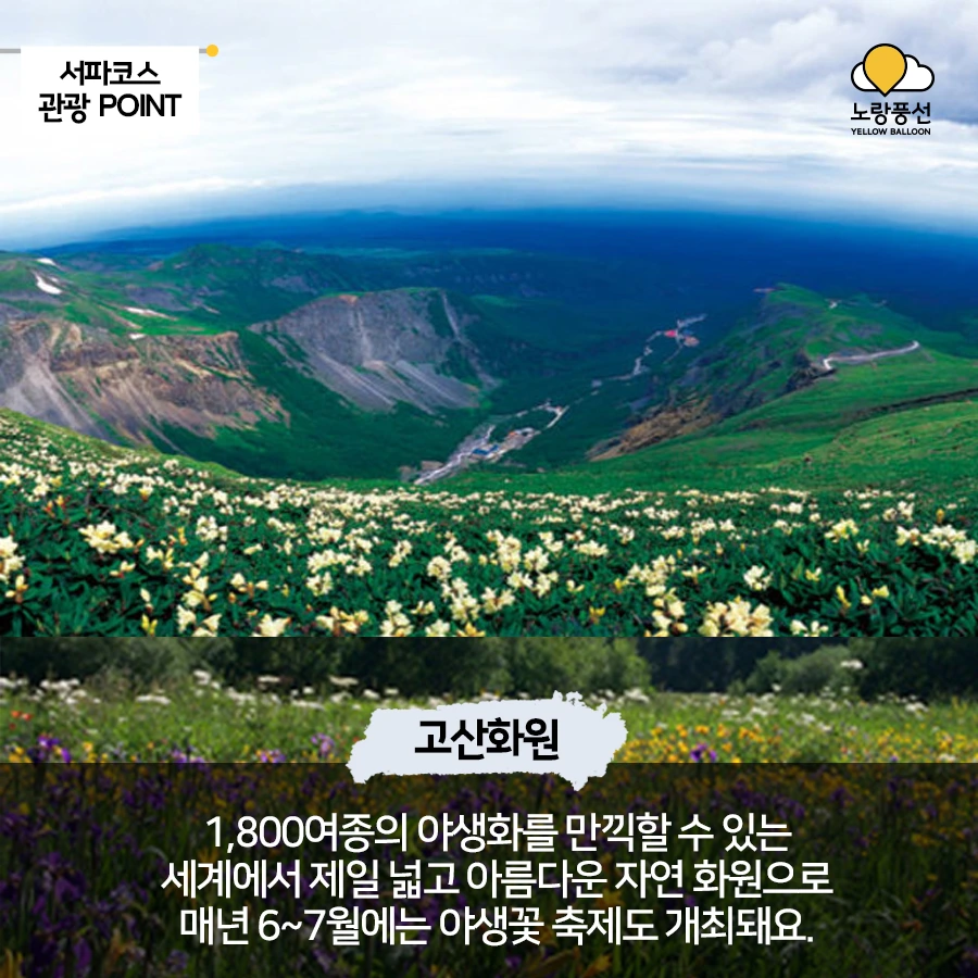 PlayD_%EB%85%B8%EB%9E%91%ED%92%8D%EC%84%A0_SNS%EC%BD%98%ED%85%90%EC%B8%A01001_8.jpg?type=w966