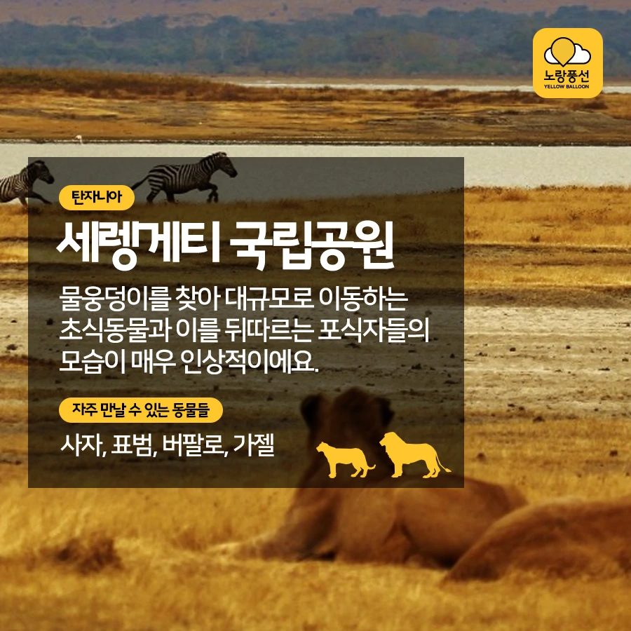 PlayD_%EB%85%B8%EB%9E%91%ED%92%8D%EC%84%A0_SNS%EC%BD%98%ED%85%90%EC%B8%A01012_5.jpg?type=w966