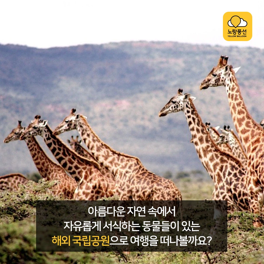 PlayD_%EB%85%B8%EB%9E%91%ED%92%8D%EC%84%A0_SNS%EC%BD%98%ED%85%90%EC%B8%A01012_8.jpg?type=w966