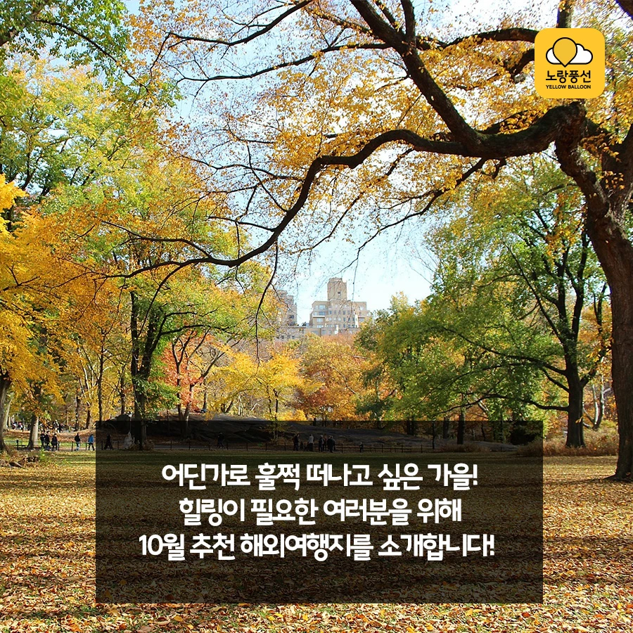 PlayD_%EB%85%B8%EB%9E%91%ED%92%8D%EC%84%A0_SNS%EC%BD%98%ED%85%90%EC%B8%A01004_2.jpg?type=w966