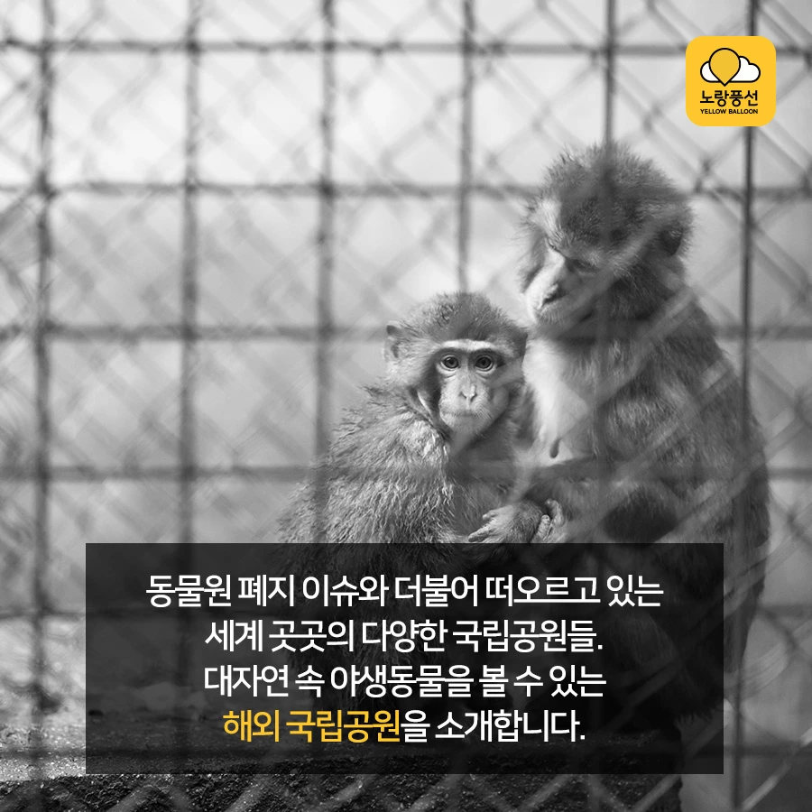 PlayD_%EB%85%B8%EB%9E%91%ED%92%8D%EC%84%A0_SNS%EC%BD%98%ED%85%90%EC%B8%A01012_2.jpg?type=w966