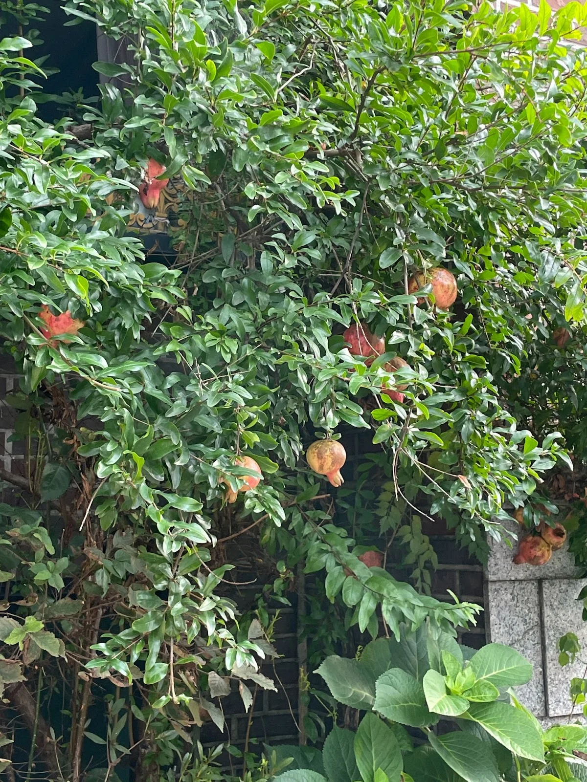 AD_4nXfkSmipc3gXPbLUYh1OpbJARKqWX6b0St9EDb7sfoIBjBoki6d1pLnrsVlkV461Vhied8Q0TKSWLa96qpTGdNdl-50O67zt8pQvLc_qtRk8MwbtByxIQJ1O3OWJc4uGe0Zh0liMEHR1Ib3cJs41OcRVaFnS?key=Cog5uyfNHO2Wew_3m9QOBA