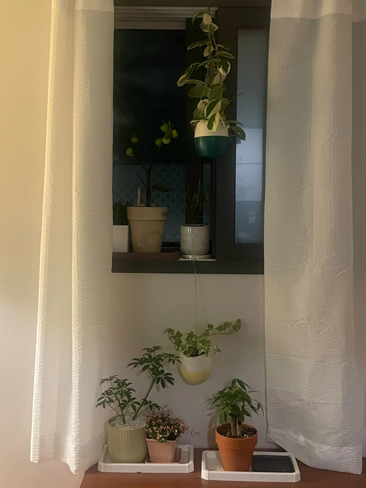 AD_4nXdkL1NTJYeMtFLz5tIFKdEUOZAajLPguFWSWzScl6HX2MrTPXRpSZ98pqE3N2IV-JbVN8oO_BpTp94zvSzapJiV2FMU71d9D7lgAhA574coYYNHpsK8hAB5387KiHb2ZgBIbC19-Yn8zIvoq3pM-WpLO3bR?key=Cog5uyfNHO2Wew_3m9QOBA