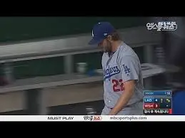 images?q=tbn:ANd9GcTW-kYftnK8wSqOfnHBNqYkp2sFJipC6VFa7XbXM3qhHvgtNdXONA