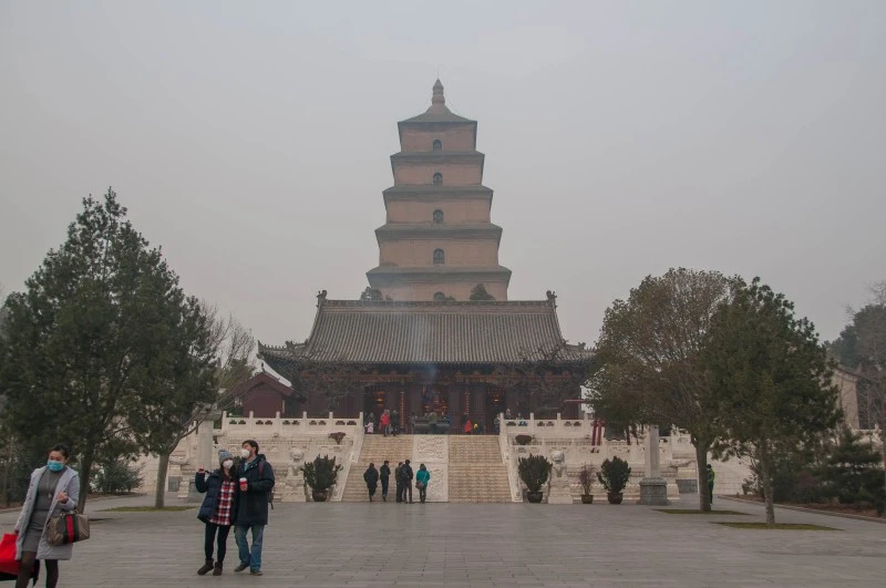 DSC_9948.jpg?type=w800