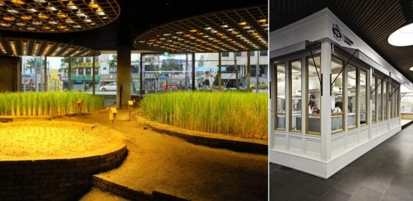 2168283A517F6DEB10F15D