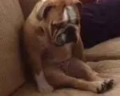 2017-10-01 20;15;03.PNG