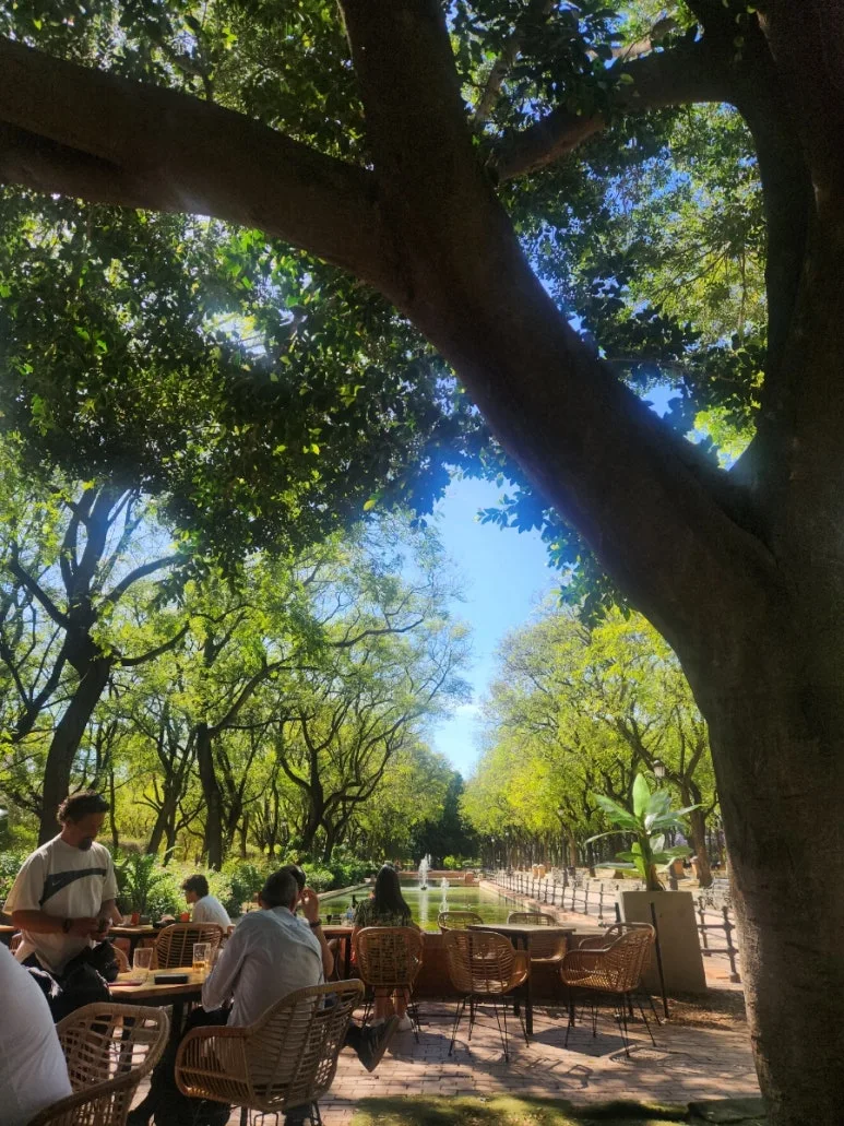 20240507%EF%BC%BF171642.jpg?type=w773