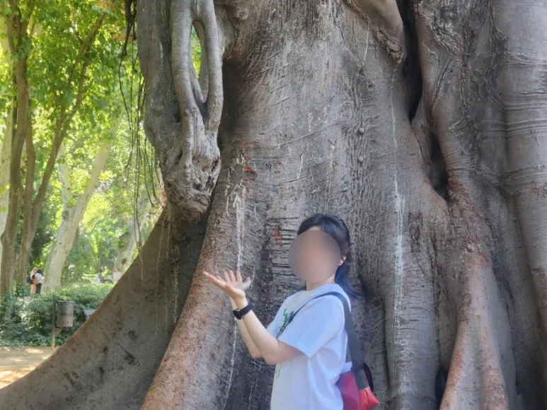 SE-2297941d-2499-11ef-9c33-2d91a9477c54.jpg?type=w773