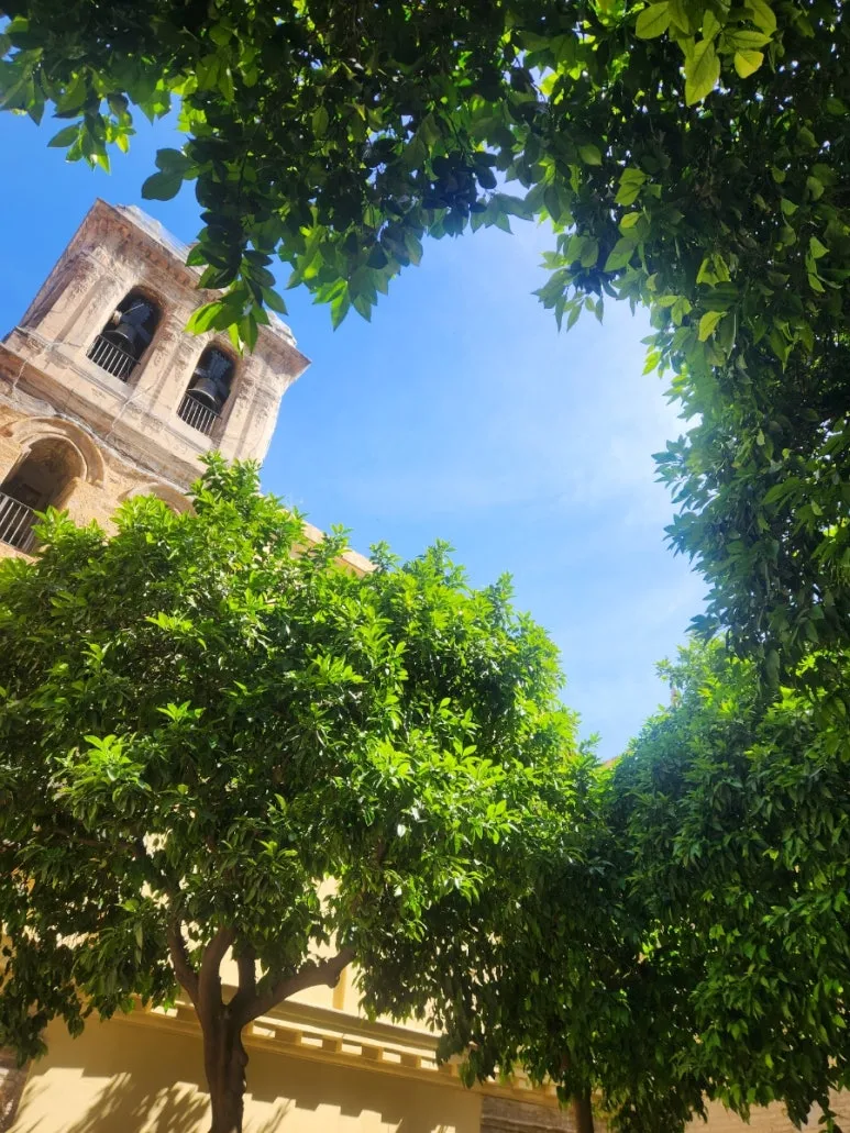 20240507%EF%BC%BF114901.jpg?type=w773