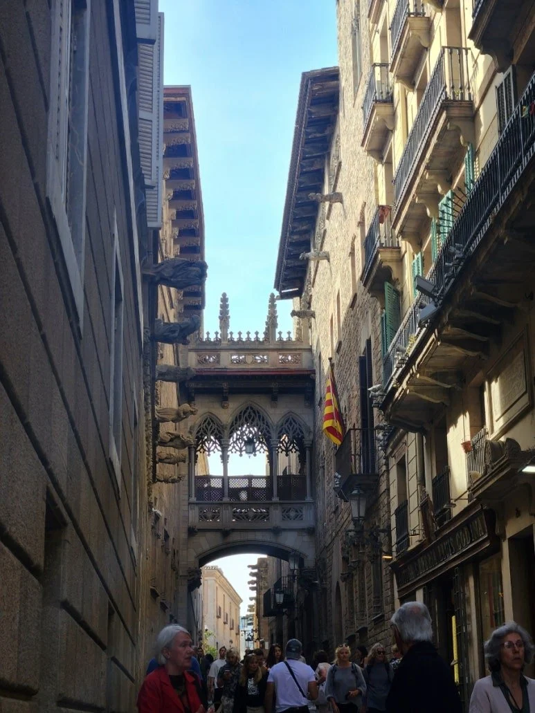 CmzN45aVtOxi8SN5MaejhQ79nTw