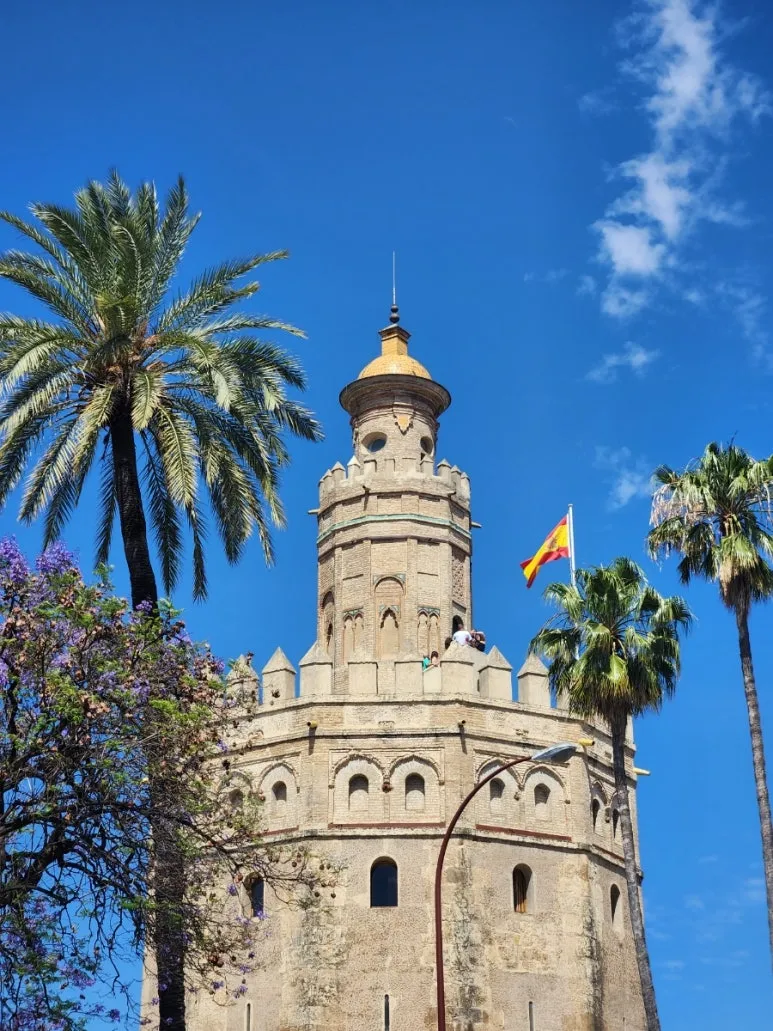 20240508%EF%BC%BF121941.jpg?type=w773