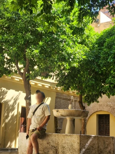 SE-02e8fd1a-2566-11ef-be13-cb676ad97d9f.jpg?type=w386