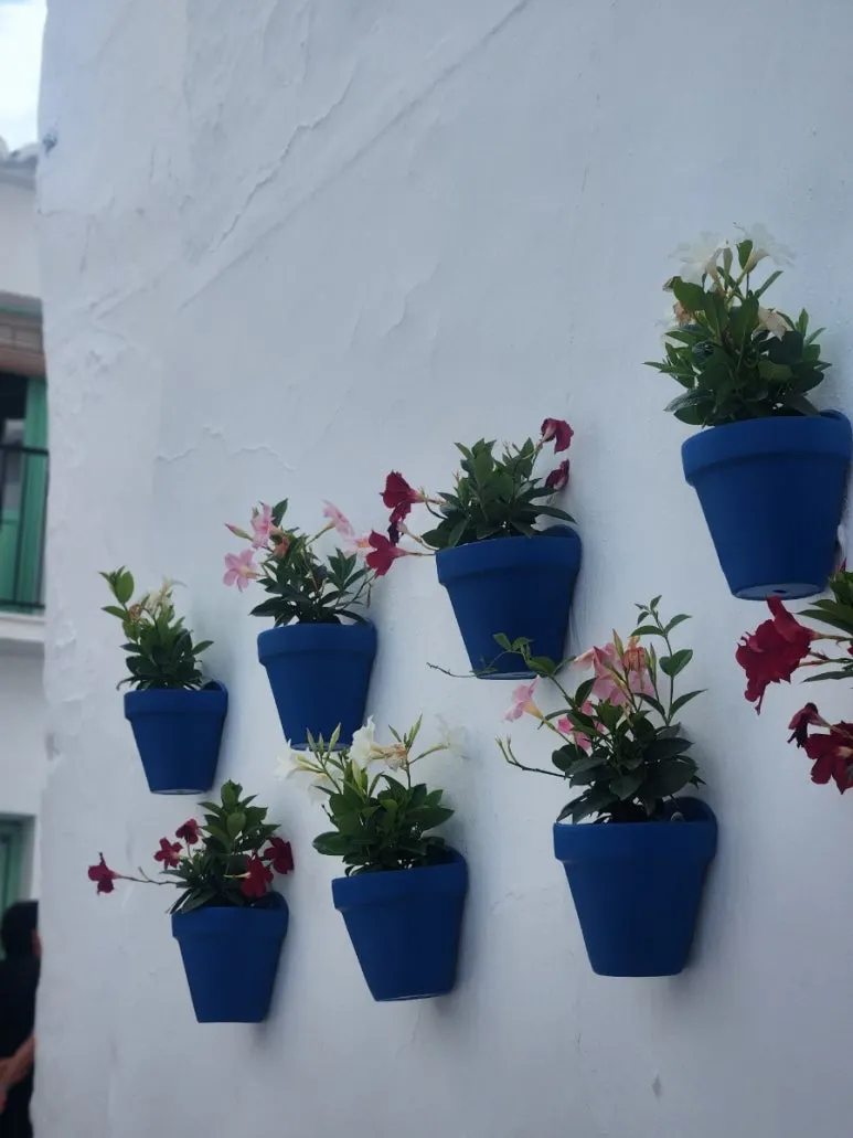 20240509%EF%BC%BF162235.jpg?type=w773