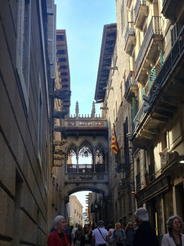 20240512%EF%BC%BF172007.jpg?type=w773