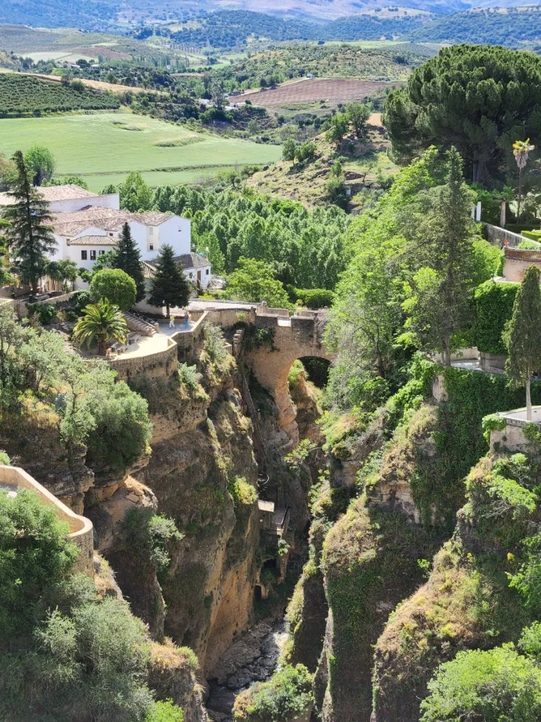 20240509%EF%BC%BF111624.jpg?type=w773