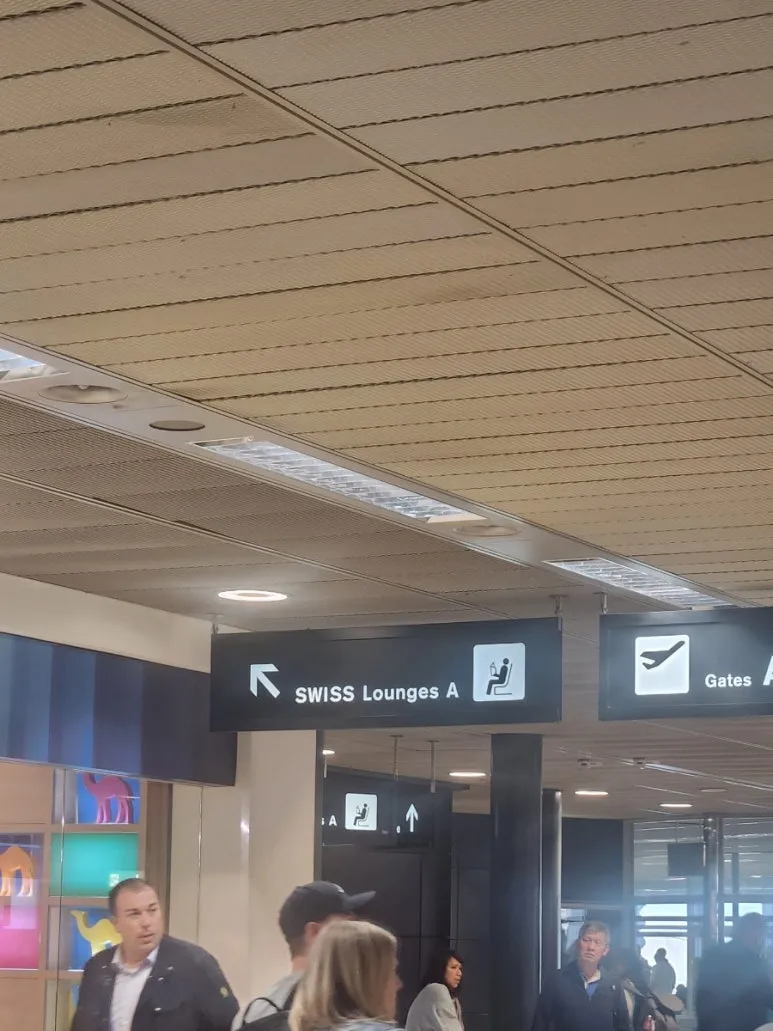 20240514%EF%BC%BF113107.jpg?type=w773