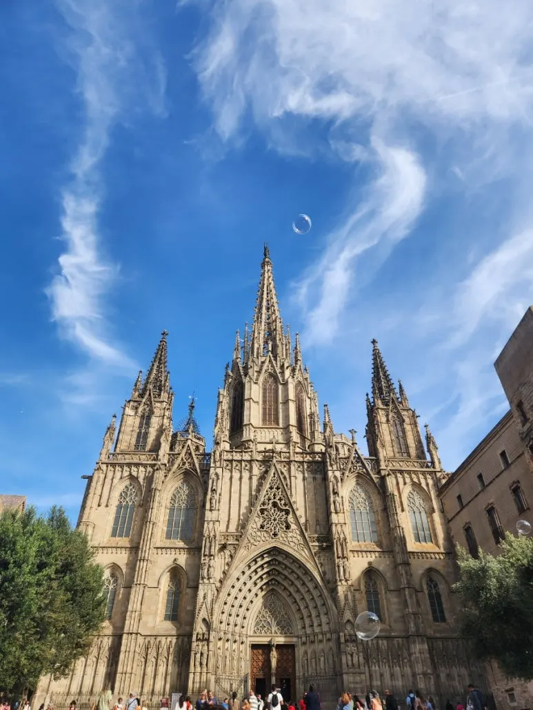 20240512%EF%BC%BF180643.jpg?type=w773