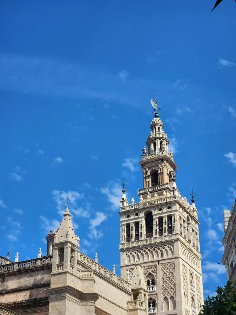 20240508%EF%BC%BF113956.jpg?type=w773