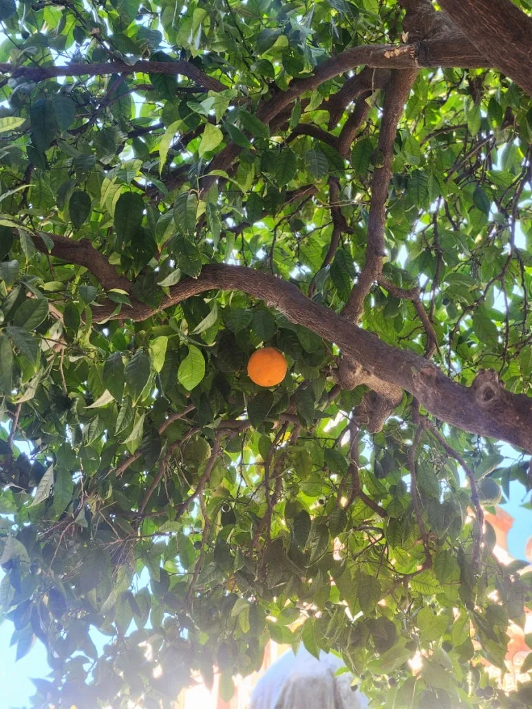 20240507%EF%BC%BF115223.jpg?type=w773