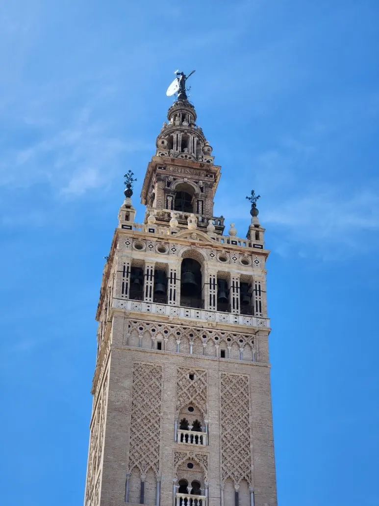 20240507%EF%BC%BF124531.jpg?type=w773