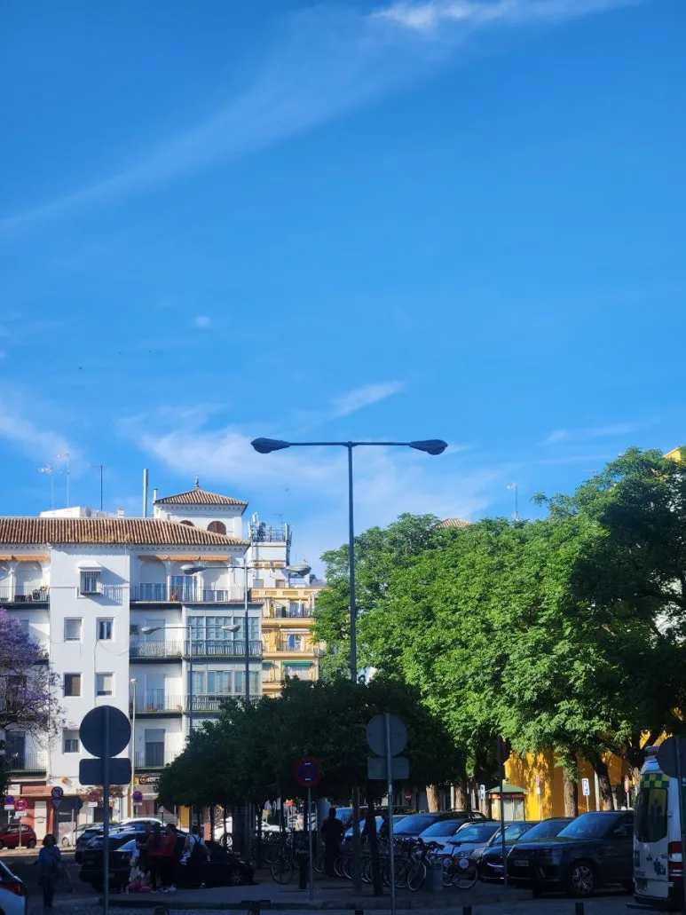 20240507%EF%BC%BF185633.jpg?type=w773