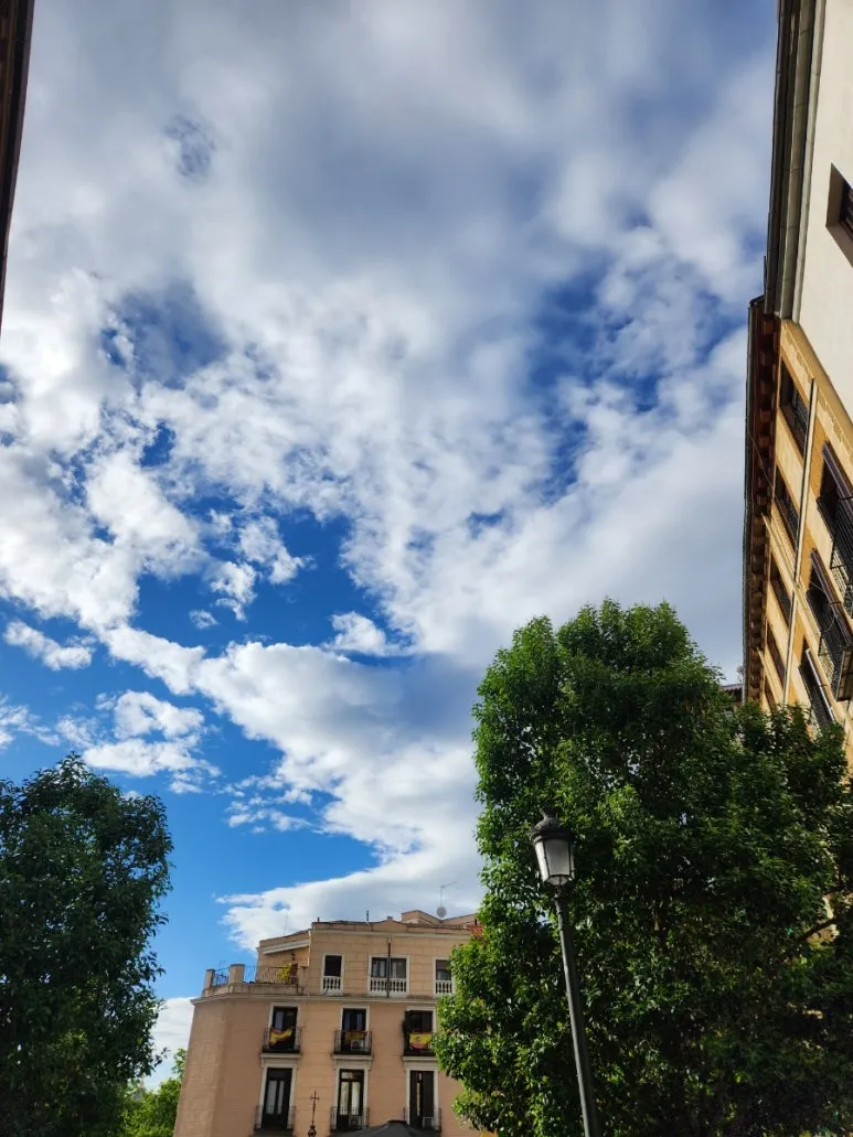 20240505%EF%BC%BF191119.jpg?type=w773