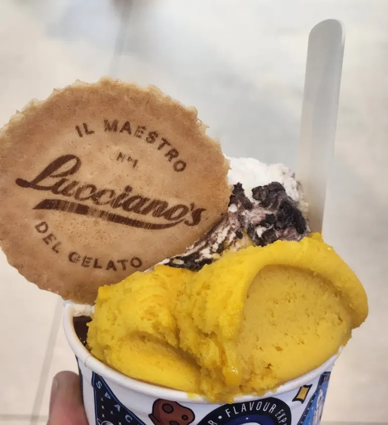 SE-32650c7c-58b6-11ef-84e3-39e21b340aa9.jpg?type=w773