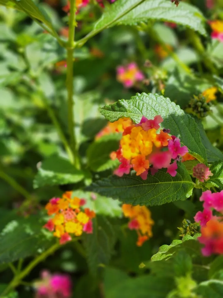 20240508%EF%BC%BF120115.jpg?type=w773