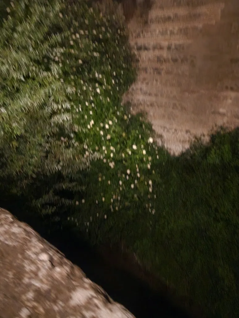 20240509%EF%BC%BF221700.jpg?type=w773