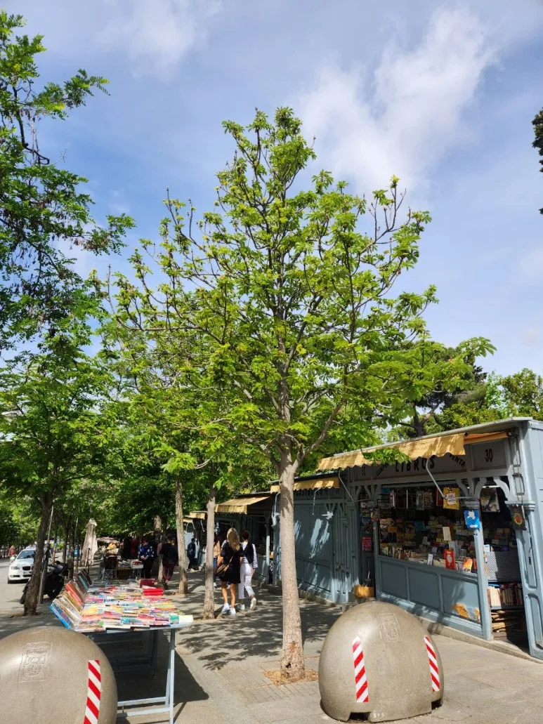 20240505%EF%BC%BF113655.jpg?type=w773