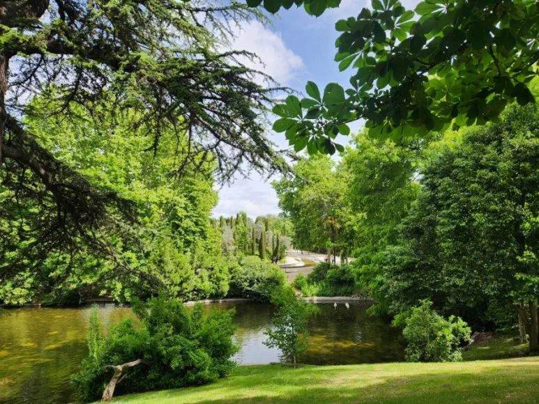 20240505%EF%BC%BF114820.jpg?type=w773