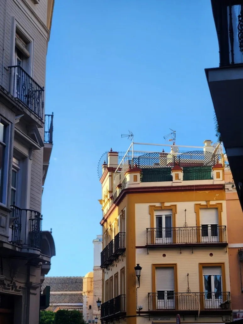 20240506%EF%BC%BF201246.jpg?type=w773