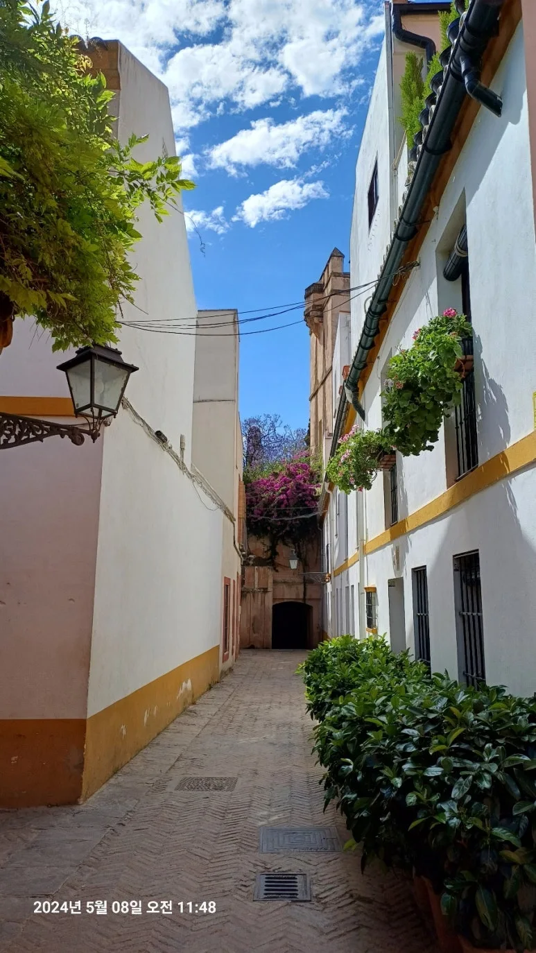 1716472395032.jpg?type=w773