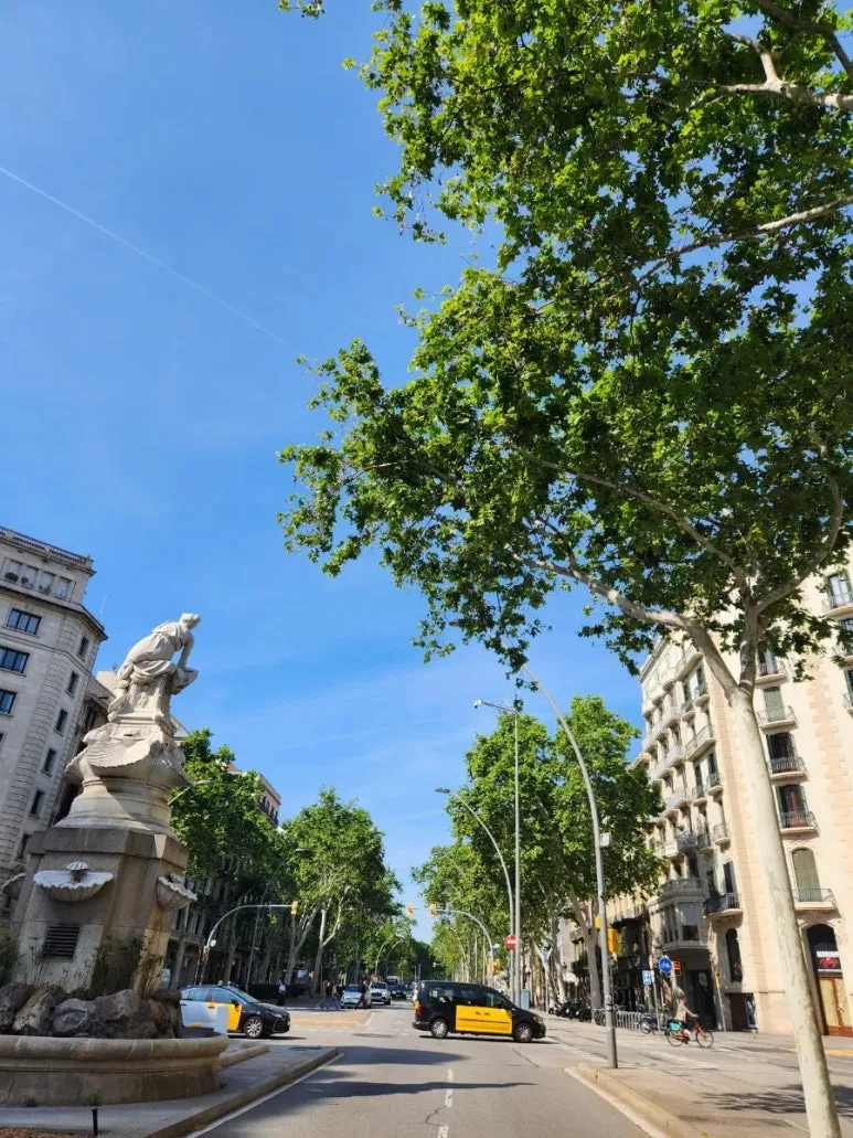 20240513%EF%BC%BF103728.jpg?type=w773