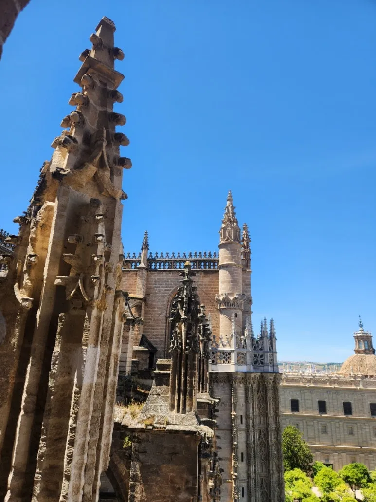 20240507%EF%BC%BF140007.jpg?type=w773