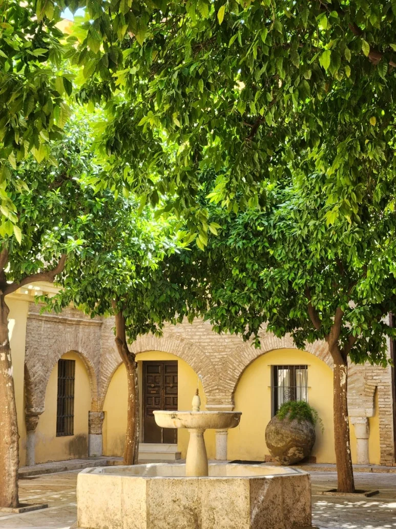 20240507%EF%BC%BF114604.jpg?type=w773