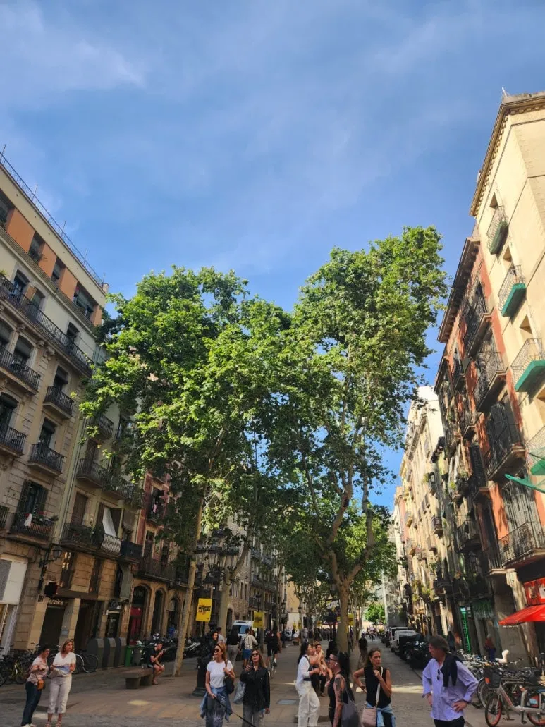 20240512%EF%BC%BF173646.jpg?type=w773