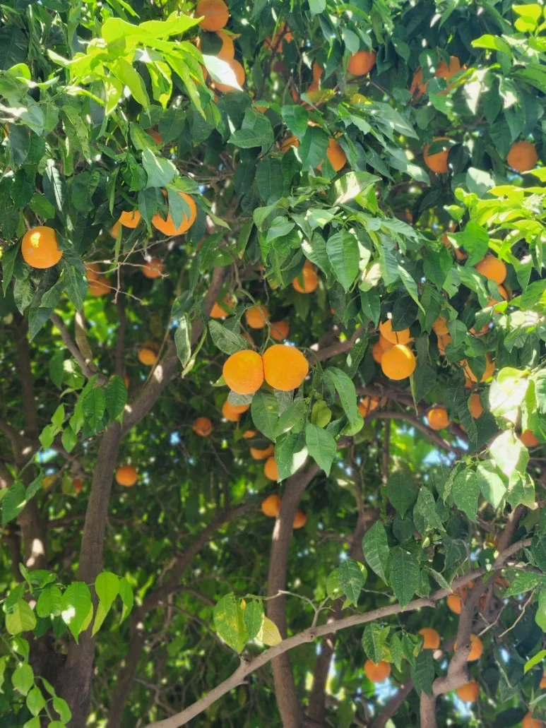 20240507%EF%BC%BF165030.jpg?type=w773