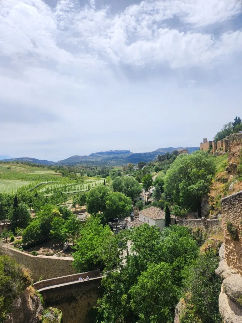 20240509%EF%BC%BF132414.jpg?type=w773