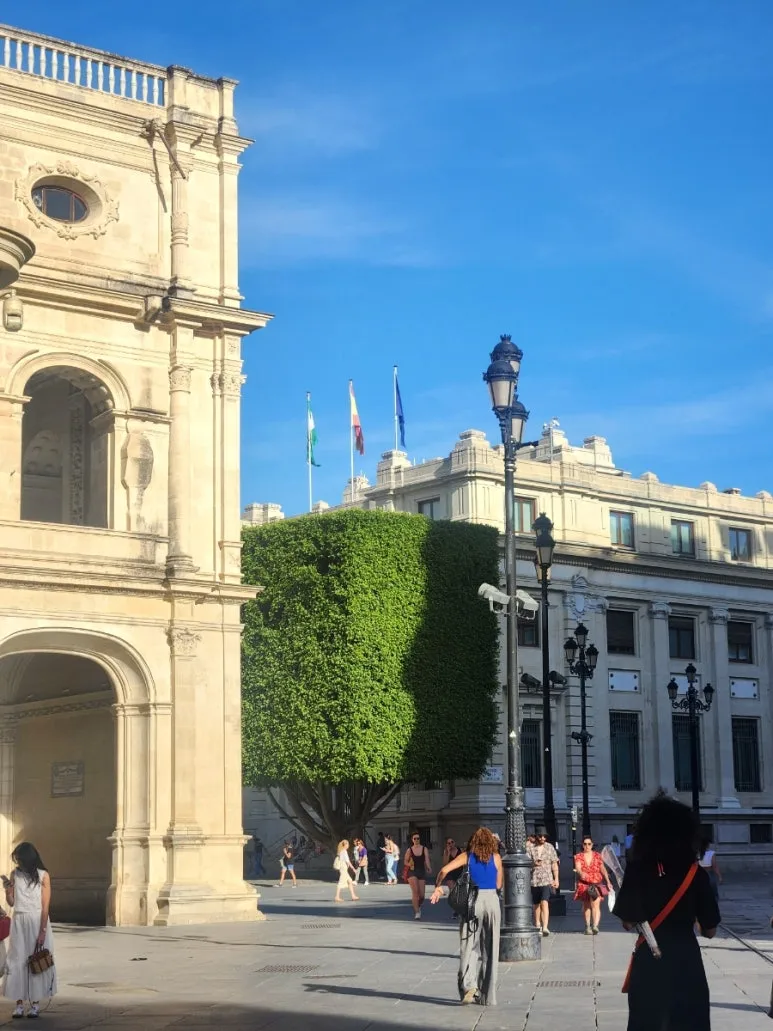 20240507%EF%BC%BF191301.jpg?type=w773