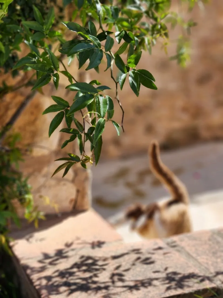 20240509%EF%BC%BF115758.jpg?type=w773