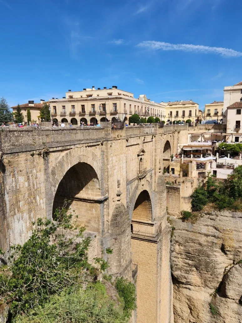 20240509%EF%BC%BF111454.jpg?type=w773