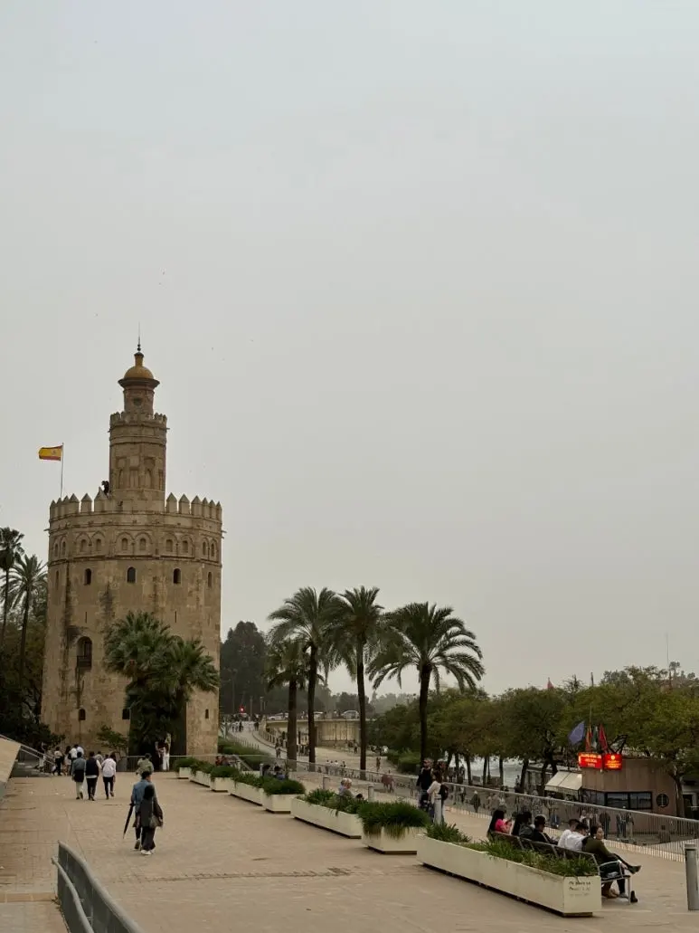 1718612158851.jpg?type=w773