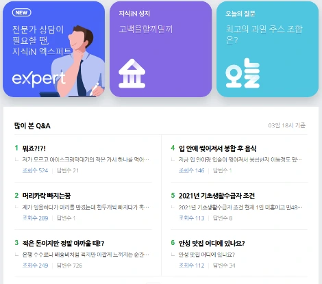 네이버 지식인.PNG