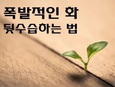 image_215178941509507419626.jpg?type=w1200