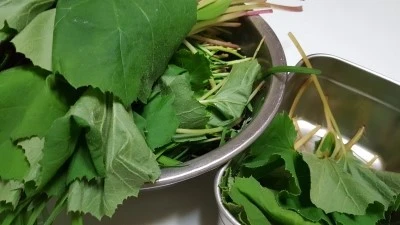 993CBD3D5BA8744F05E4D7