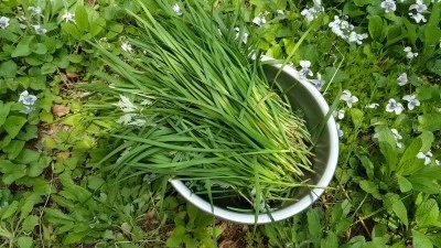 99186D3D5BA8744F13089E