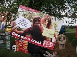 images?q=tbn%3AANd9GcQvBLE-44gkANkCUBA4Z-cik7Rc-Cd3OfN3M94Ytdo2zD2Bjrwm